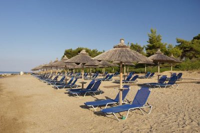 BLUE DOLPHIN HOTEL The Beach blue Dolphin Resort Hotel