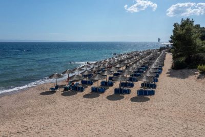 07.the-beach-Blue-Dolphin-Resort-Hotel The Beach blue Dolphin Resort Hotel