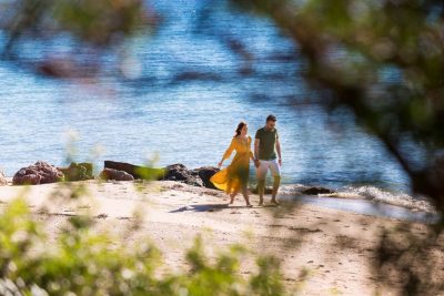 BLUE DOLPHIN HOTEL The Beach blue Dolphin Resort Hotel