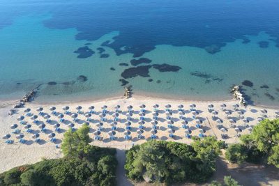 DCIM100MEDIADJI_0718.JPG The Beach blue Dolphin Resort Hotel